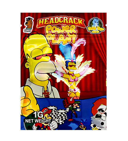 100 Pack 1g Unique Mylar Bags – Cartoon Plant Graphic