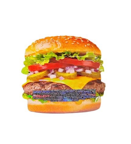12 Pack - Hamburger-Themed Gift Box Set - ZaDonald’z Double Burger