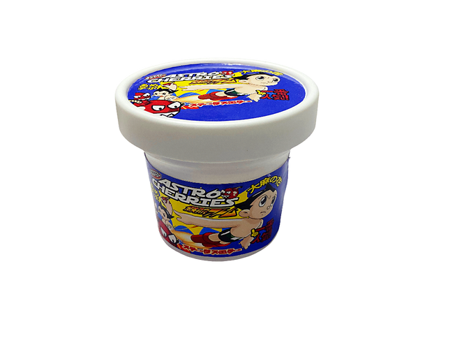12 Pack Pint-Style Plastic Storage Containers with Lids – Astro Cherries