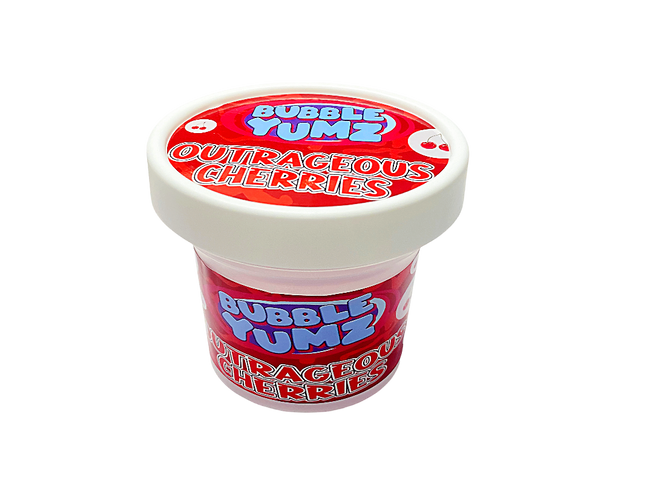 12 Pack Pint-Style Plastic Storage Containers with Lids – Bubble Design