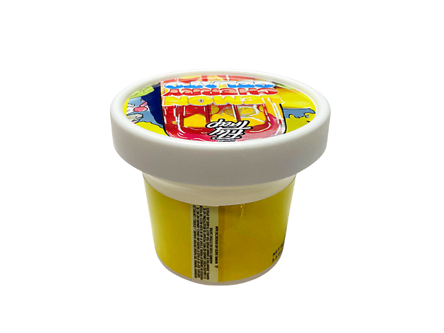 12 Pack Pint-Style Plastic Storage Containers with Lids – Lemon Cherry