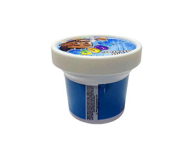 12 Pack Pint-Style Plastic Storage Containers with Lids – Whoops