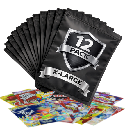 12-Pack 1lb (12" × 15") Heavy-Duty Zip Storage Bags – Assorted Designs